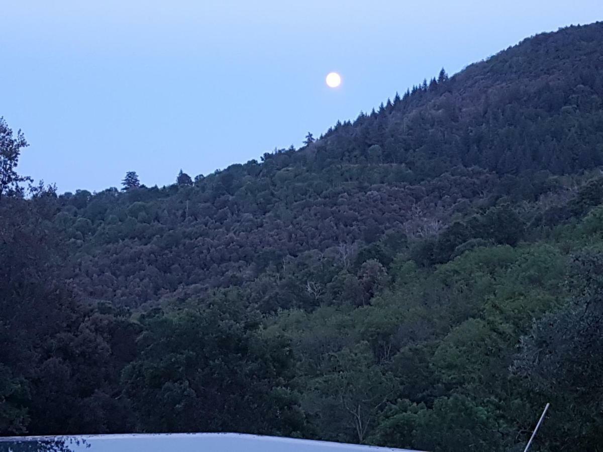 El Solei Paraiso En El Montseny Arbúcies Extérieur photo