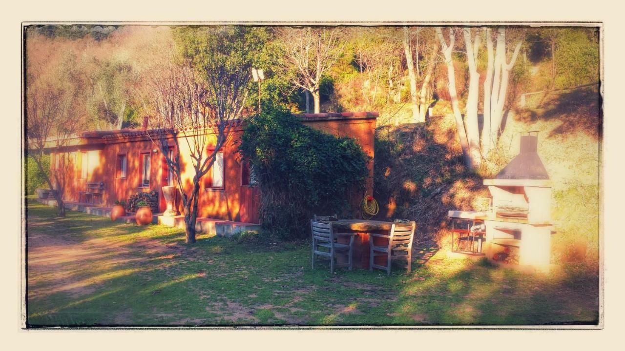 El Solei Paraiso En El Montseny Arbúcies Extérieur photo