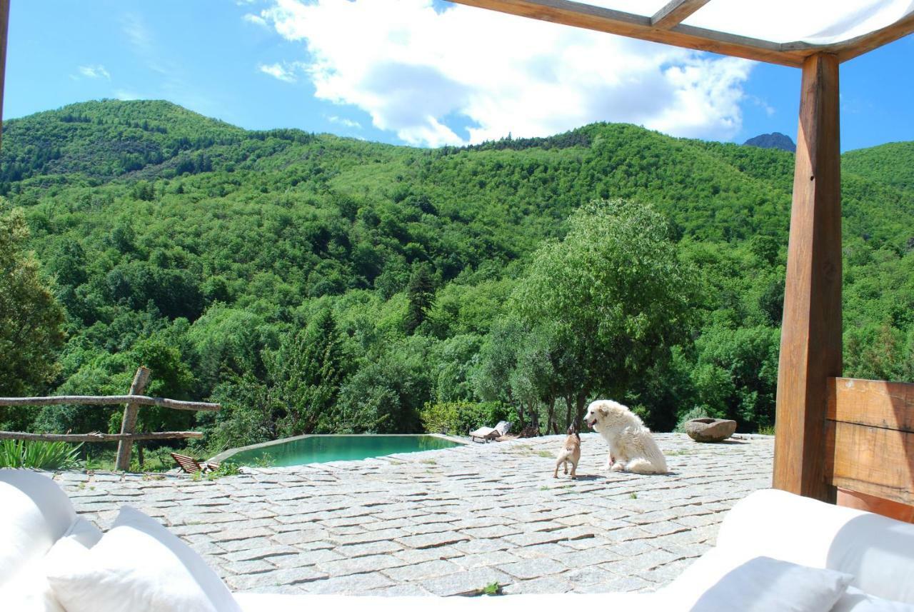 El Solei Paraiso En El Montseny Arbúcies Extérieur photo