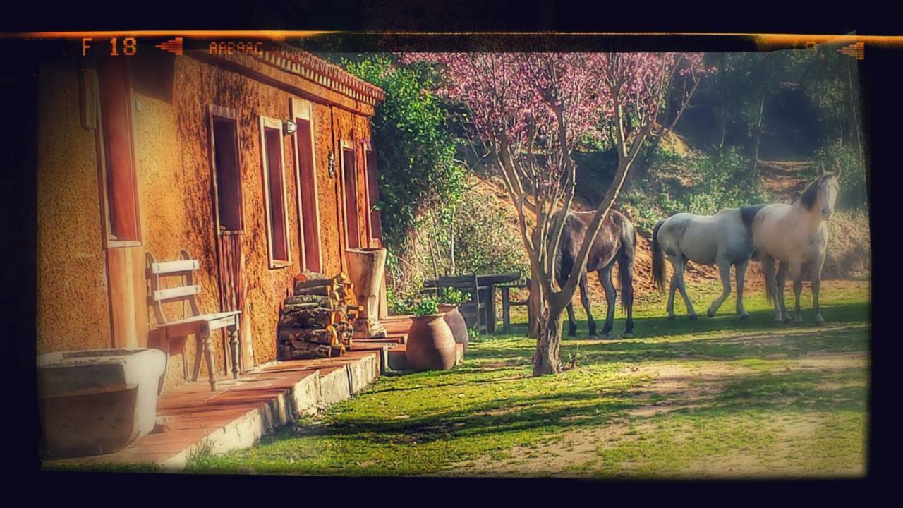 El Solei Paraiso En El Montseny Arbúcies Extérieur photo