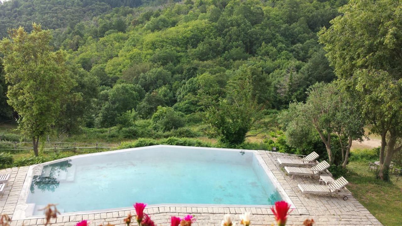 El Solei Paraiso En El Montseny Arbúcies Extérieur photo